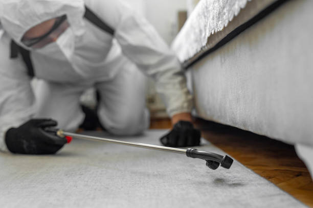 Professional Termite Control technician working in Elwood, IN