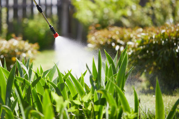 24/7 Emergency Termite Control experts in Elwood, IN